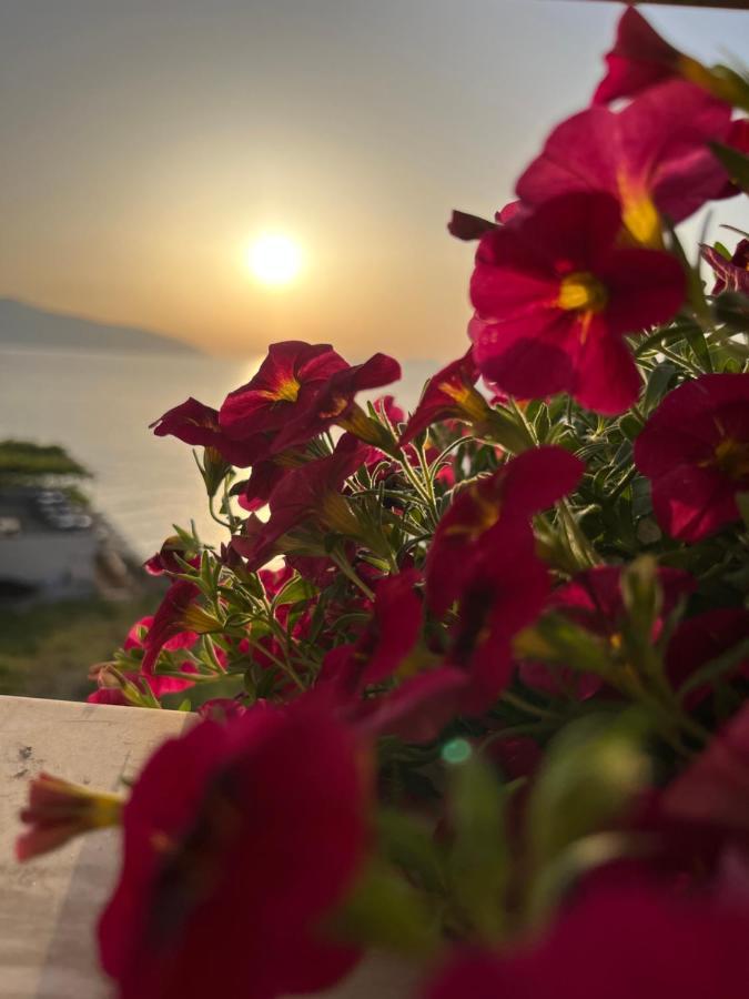 Lotus Apartments Vlorë Eksteriør billede