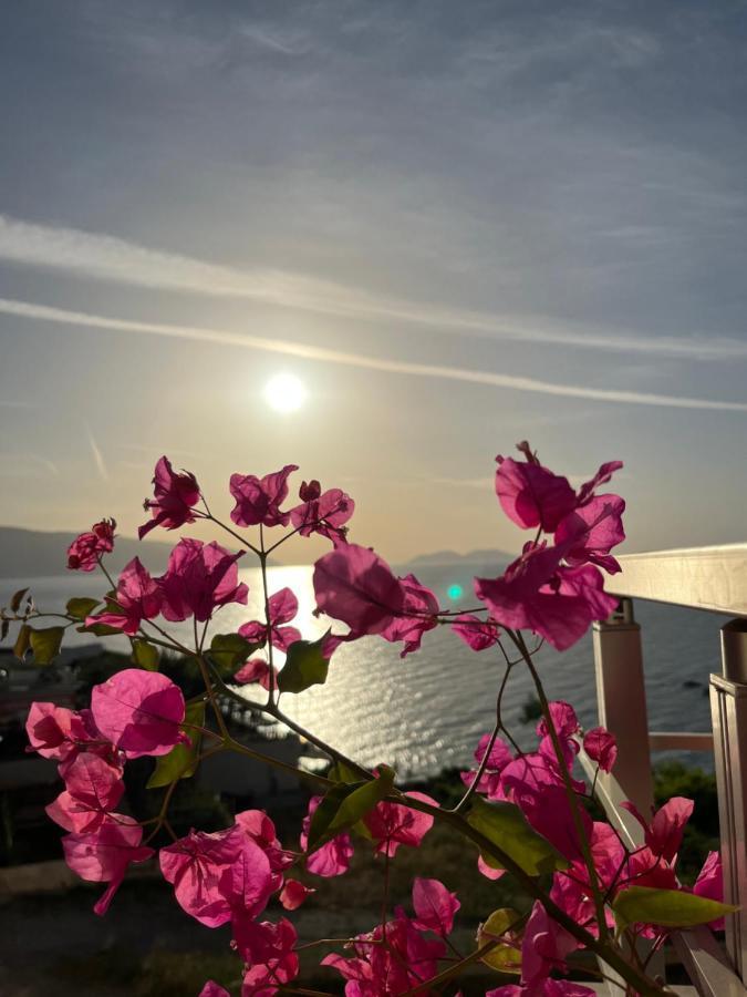 Lotus Apartments Vlorë Eksteriør billede